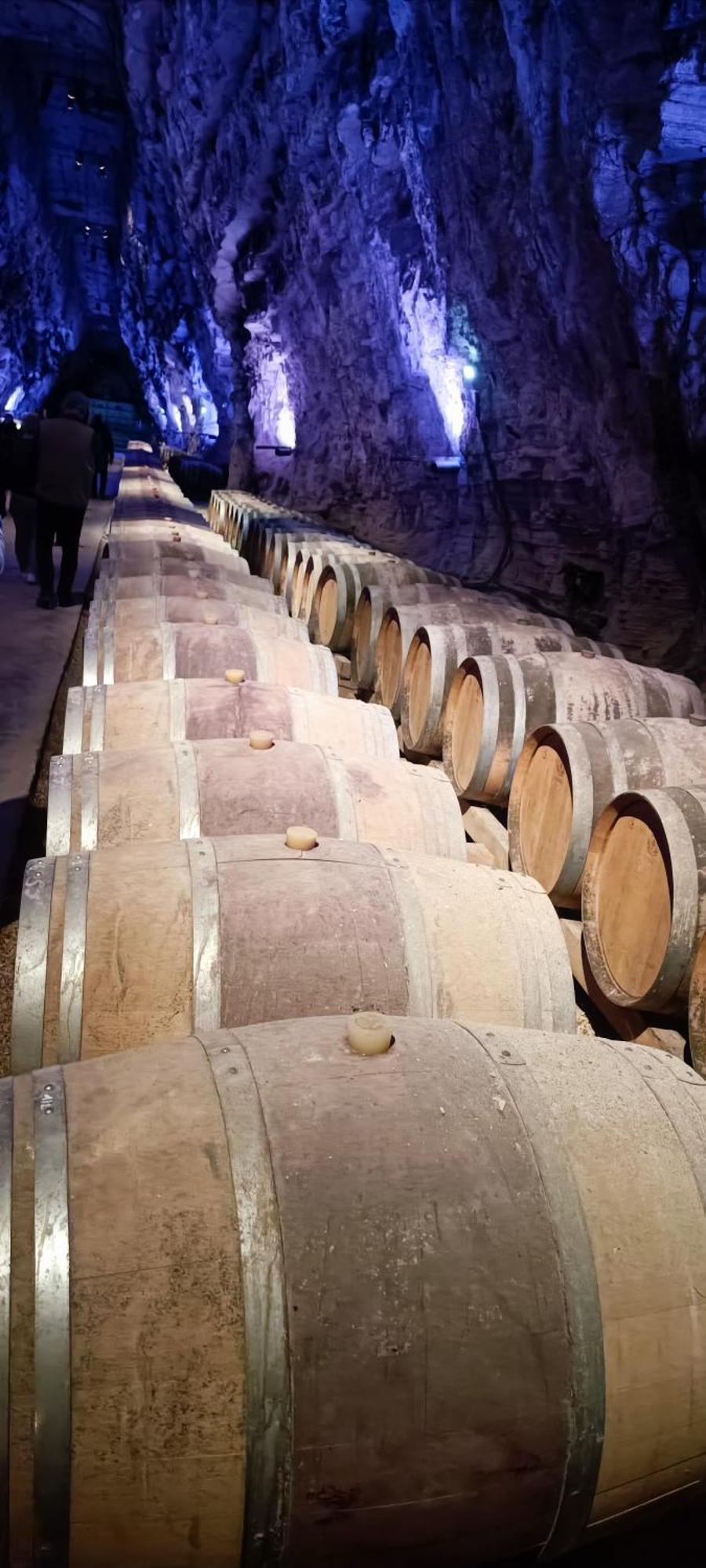 Gite La Capelle Roquefort Des Corbieres Sigean Narbonne Aude Dış mekan fotoğraf